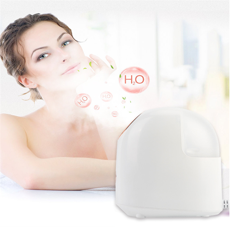 Beauty Steamer for face