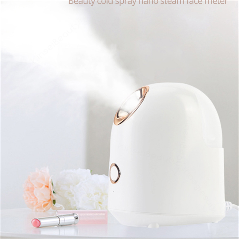 Beauty Steamer for face