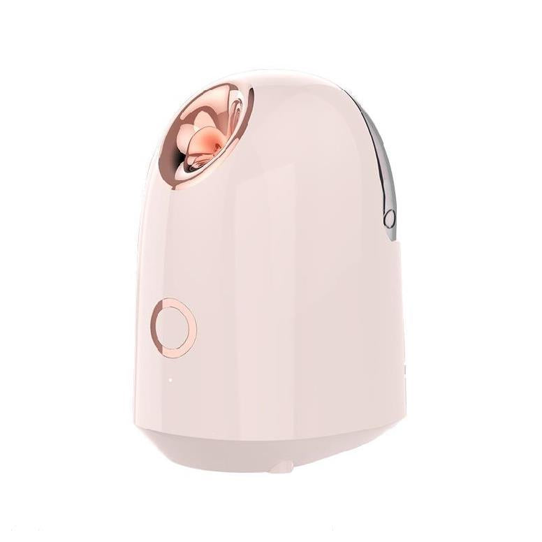 Beauty Steamer for face